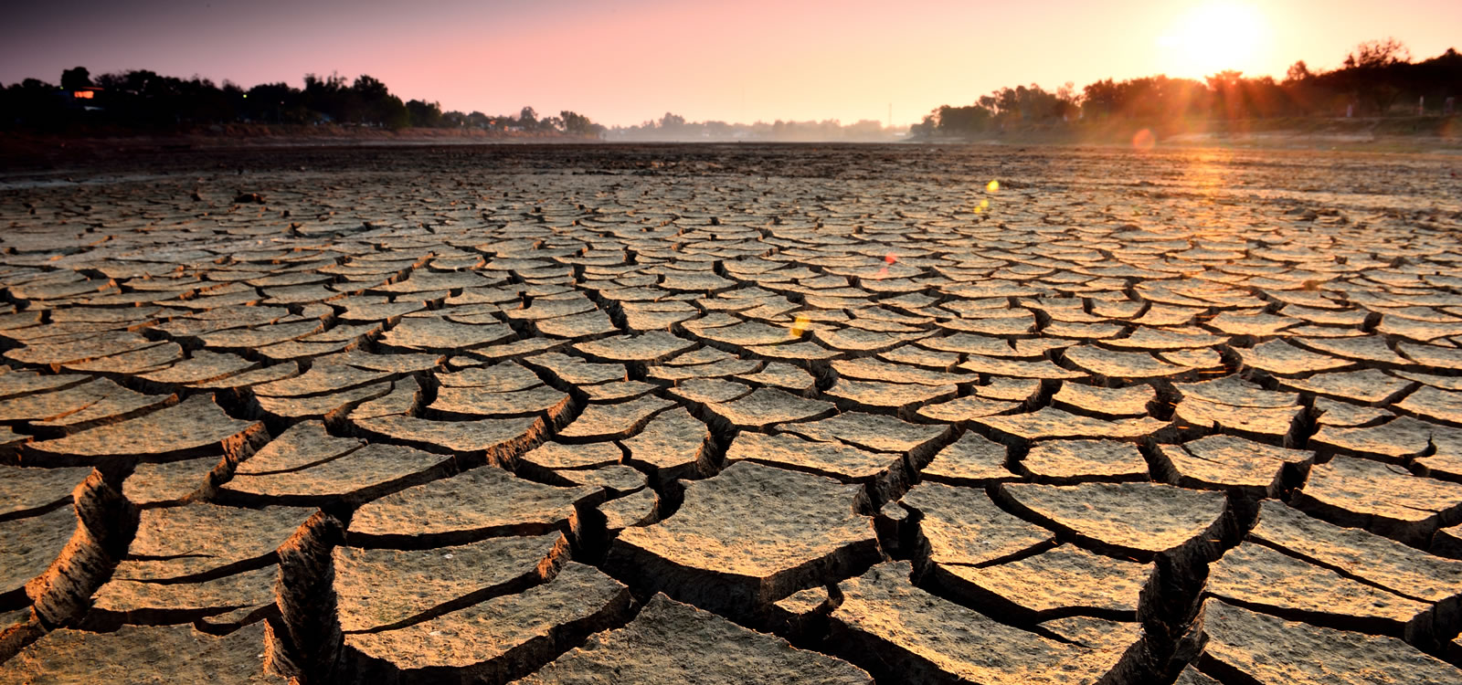 Image of cracked ground.