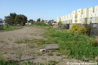 Photo of Lion Creek corridor before construction.